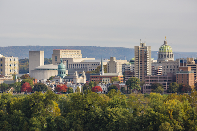 Why Tree Planting Helps Our Cities - Harford Tree